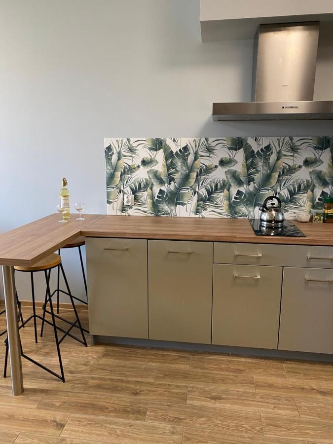 2 Tyskie Apartamenty Z Ogrodkiem Tychy Εξωτερικό φωτογραφία